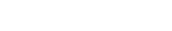 devis-artifices.com - logo footer